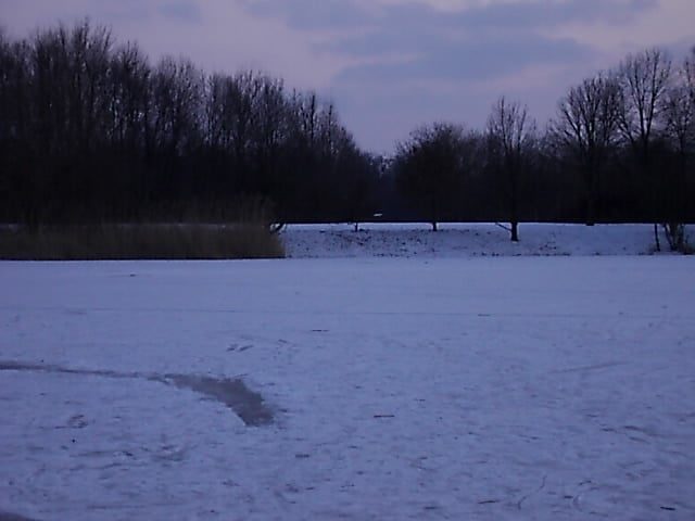 Leipzig-Lößnig - Blick über den Silbersee - Foto by Henning Uhle