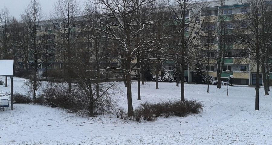 Winter in Leipzig-Grünau - Foto by Henning Uhle
