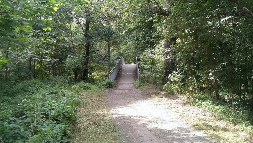 Brücke über die Pleiße im südlichen Auwald - Henning Uhle