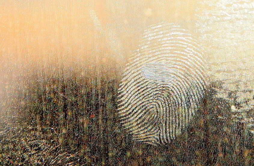 Fingerabdruck - Bild von Emilian Robert Vicol auf Pixabay