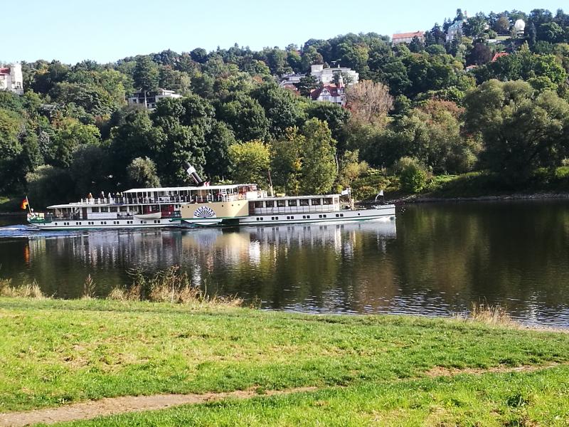 Ein Dampfschiff auf der Elbe in Dresden