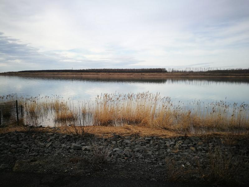 Zwenkauer See