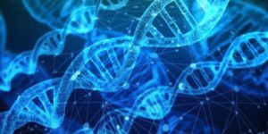 Proteine in der DNA - Bild von Gerd Altmann auf Pixabay