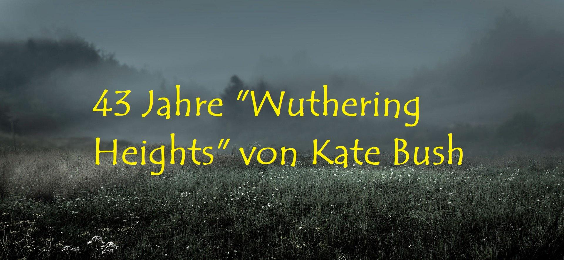 43 Jahre "Wuthering Heights" von Kate Bush - Bild von grubertransmedia auf Pixabay