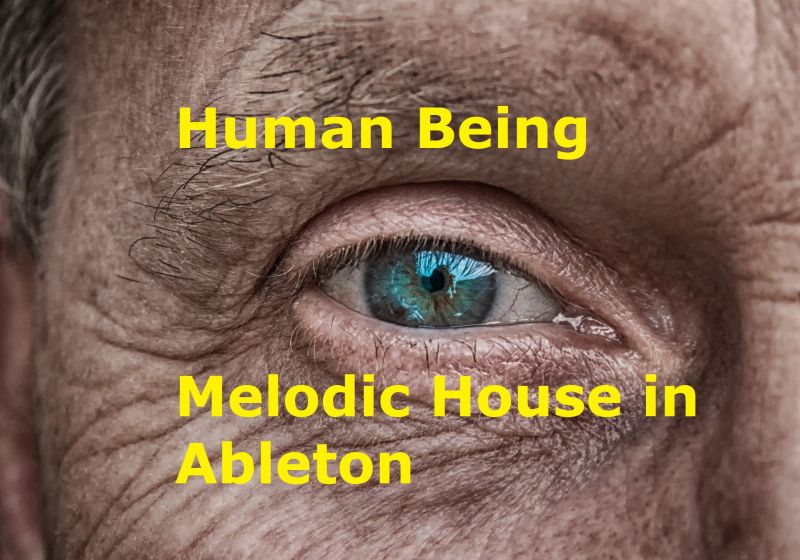 Human Being - Melodic House in Ableton - Bild von Tom auf Pixabay