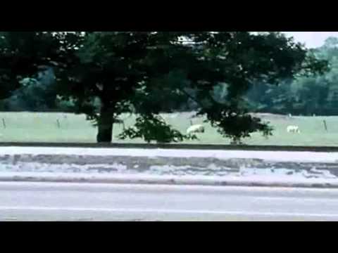 Kraftwerk - Autobahn (Official Music Video) HD